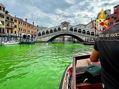 The water turned green in Venice&#39;s Grand Canal near the Rialto Bridge.

