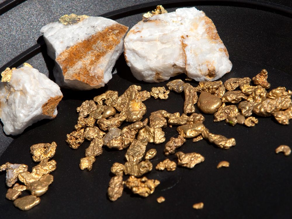 Gold Panning A Creek Running Through A Huge Gold Deposit! 