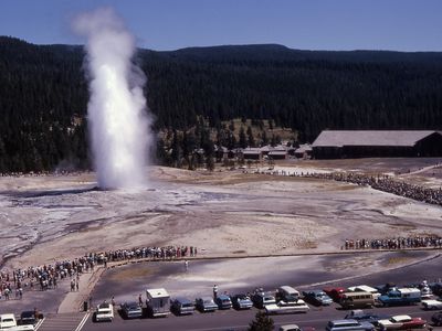 Old Faithful erupts before a crowd of onlookers in Wyoming's Yellowstone National Park in 1966.
