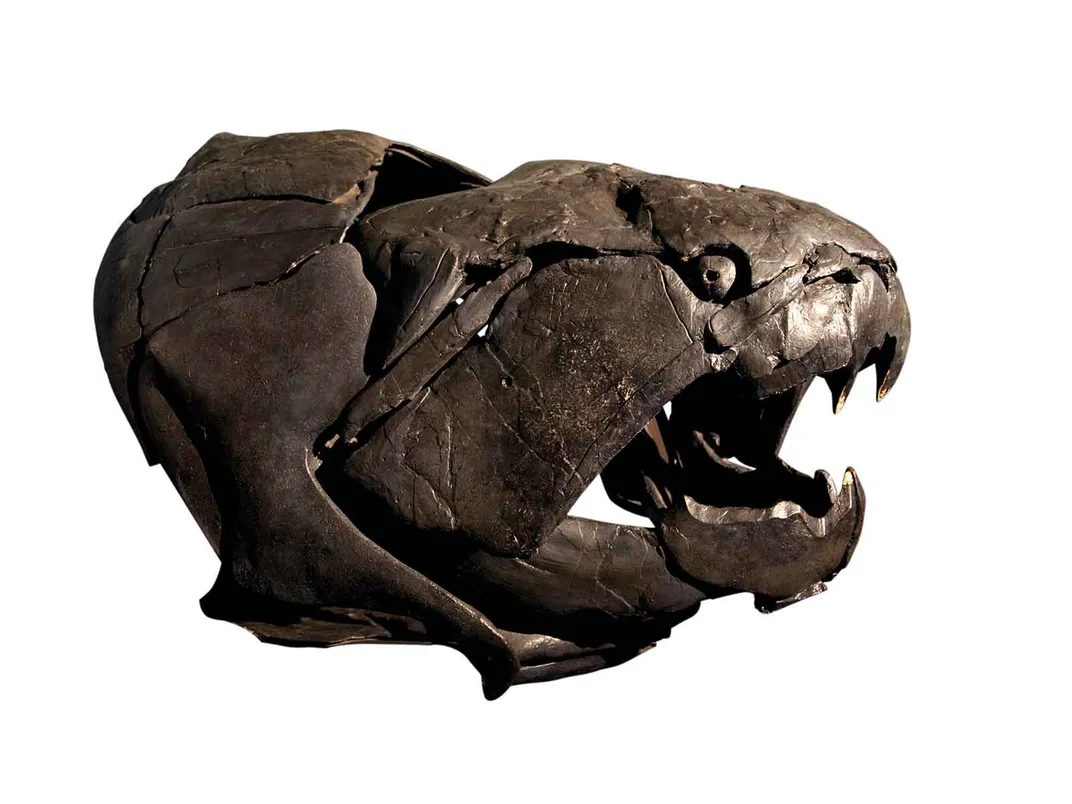 Ten Exquisite Creatures That Once Roamed the Earth | At the Smithsonian |  Smithsonian Magazine