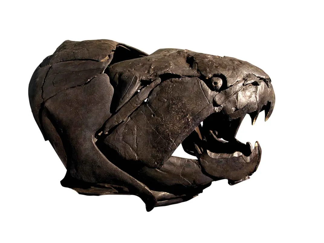 Dunkleosteus