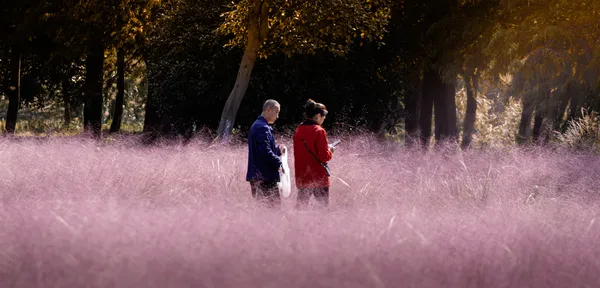 While photographing a sea of flowers in the park, I saw an elderly couple thumbnail