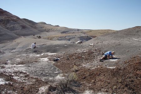 Carrano, Kroehler, Oreska Cloverly 2006.jpg