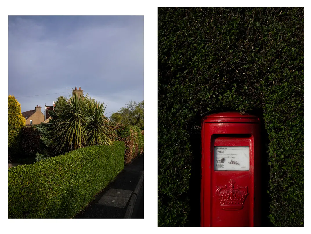 Palm, and mailbox