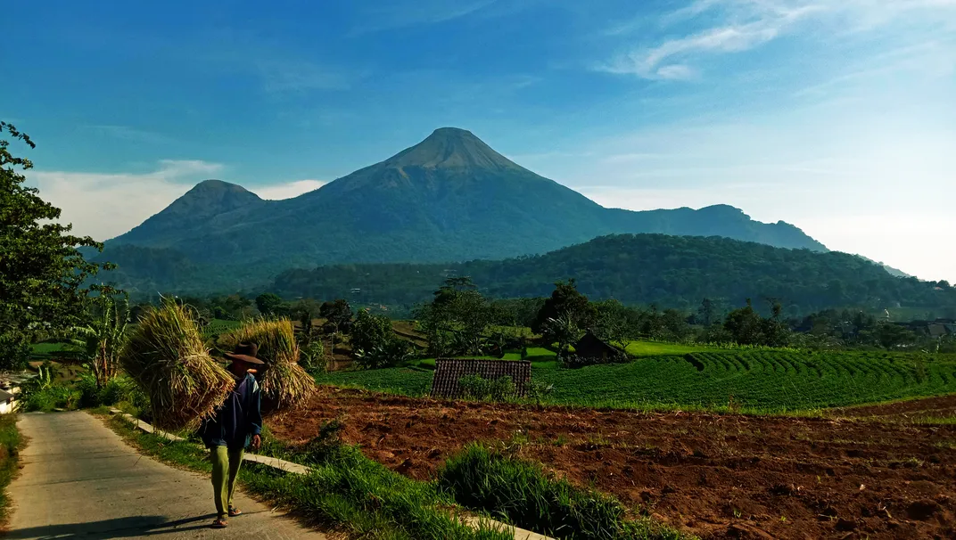 Morning at A Village of Java | Smithsonian Photo Contest | Smithsonian ...