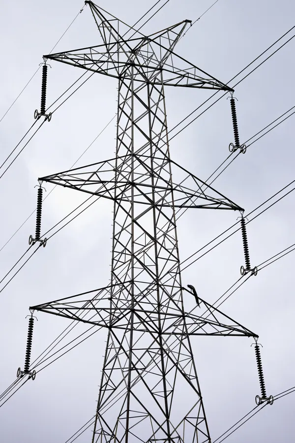 Wings of Grace on Wires of Power thumbnail