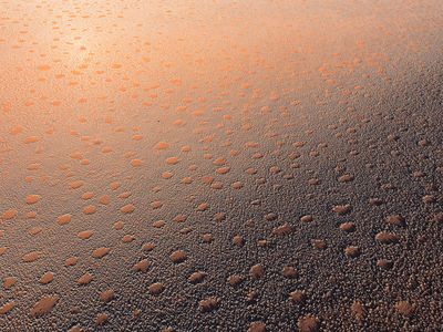 This aerial view shoes the weird wonder of "fairy circles" in the Namibian desert. 