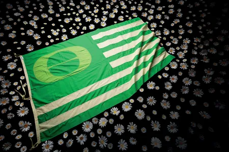 The homemade flag carried by Lanphier High School students during their march to the Illinois State Capitol on the first Earth Day. 
