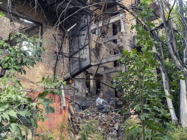 Shahin Omarov thumbnail