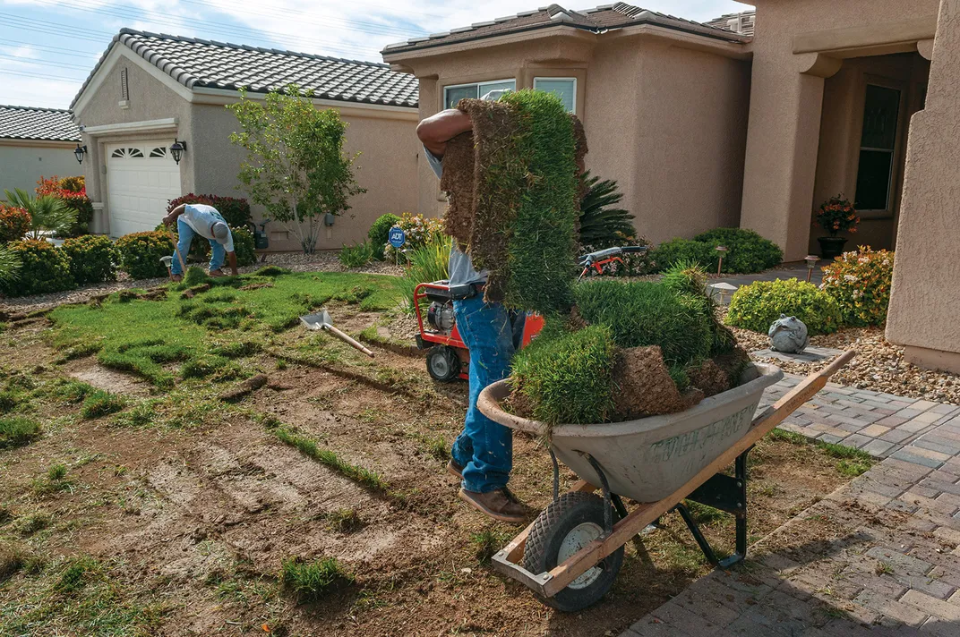 Workers remove grass from Las Vegas lawns