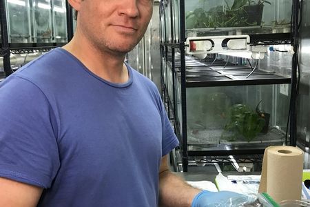 dr-luke-linhoff-collecting-mucus-from-a-frog-at-the-panama-amphibian-rescue-and-conservation-project_50617355846_o.jpg