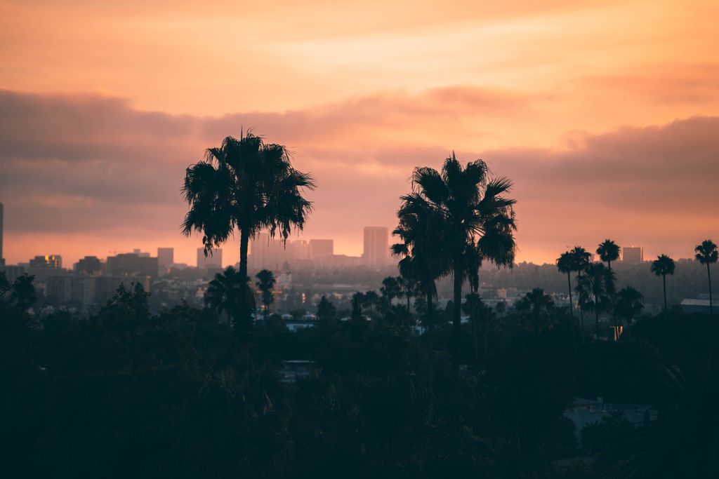 LA skyline