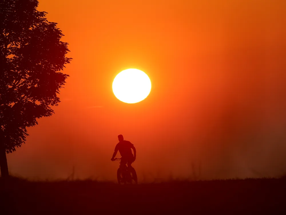 A cyclist and a tree are seen faintly through mist, the entire sky is orange and the sun is low in the sky