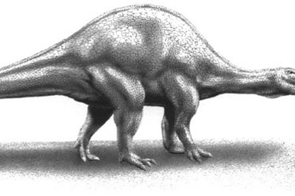 A hump-backed Spinosaurus, restored by R.E. Johnson and from Bailey 1997.