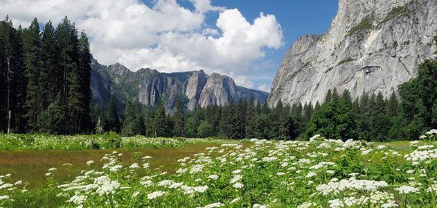 Yosemite Valley