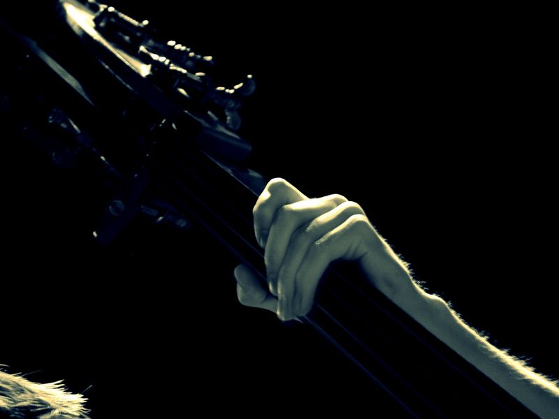 Upright bass headstock and artist's hand Smithsonian Photo Contest
