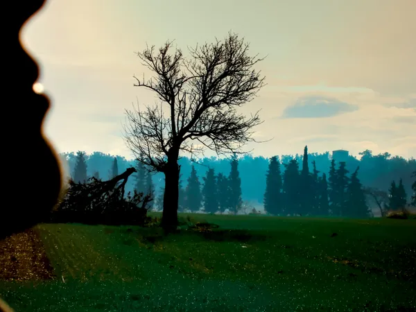 Through the Silence thumbnail