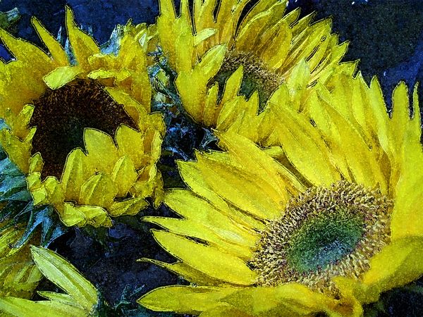 Sunflowers-Impression thumbnail