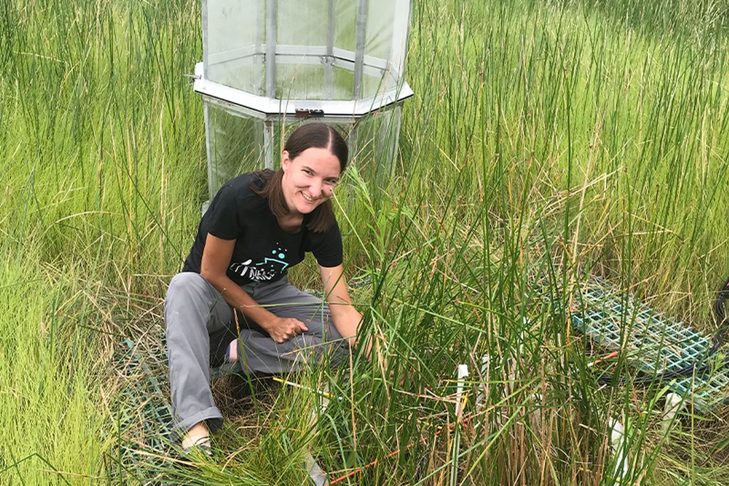 a woman crouching in a wetland setting