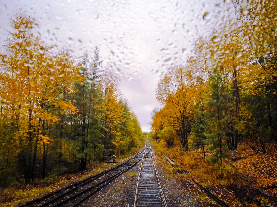 13 - Colorful autumn trees stand in the wake of a locomotive on a rainy day.