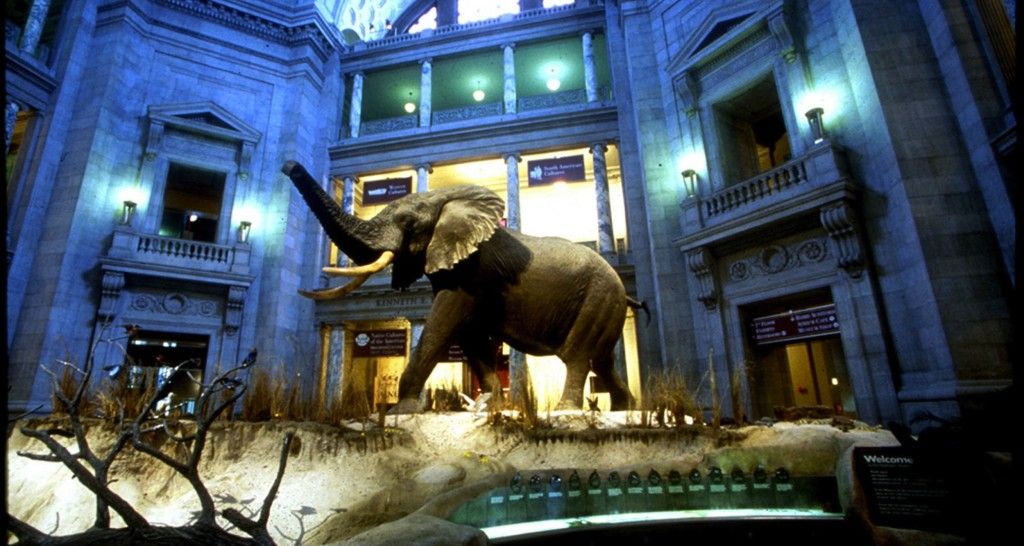 Natural History Museum