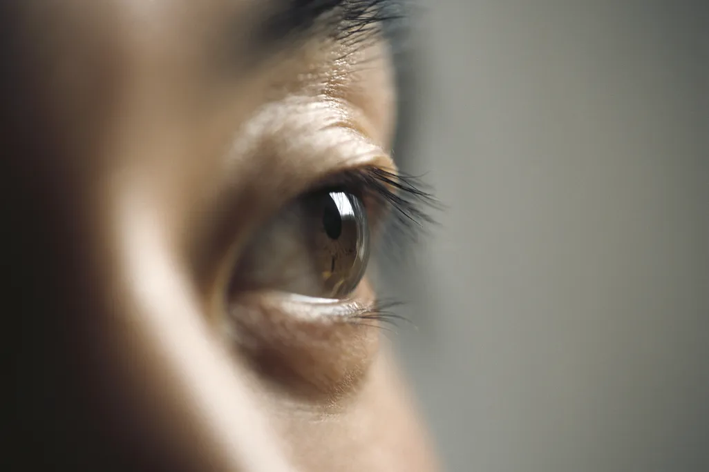 A close up of a person's eye, with their nose and eyebrow visible