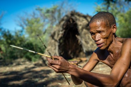 A San man prepares his arrows for hunting in the Living Museum of the Ju’Hoansi-San, Grashoek, Namibia