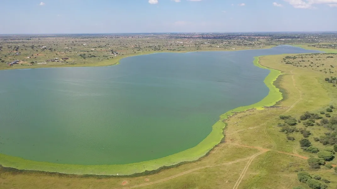Setumo Dam in South Africa before treatment
