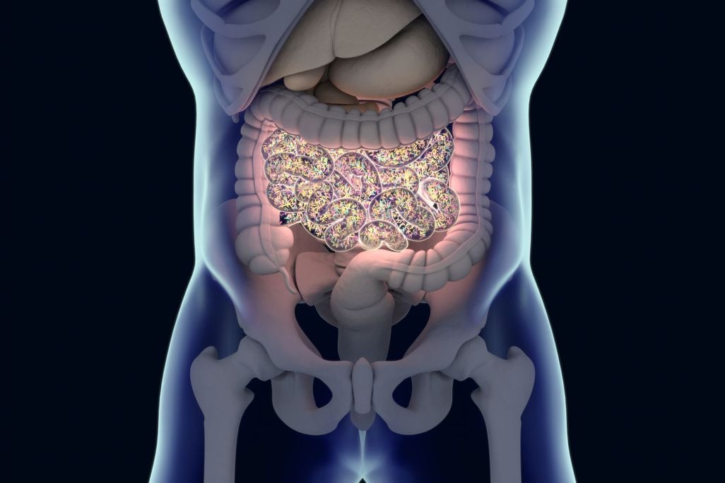 Microbiome
