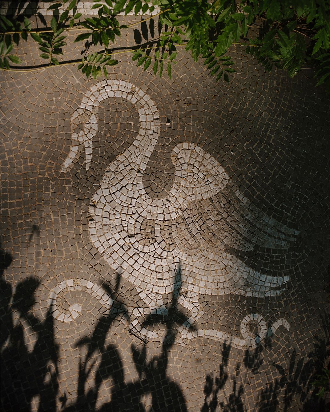 Swan mosaic