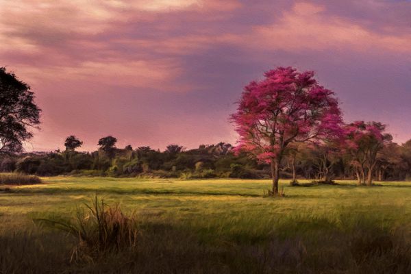 colourful Paraguayan landscape thumbnail