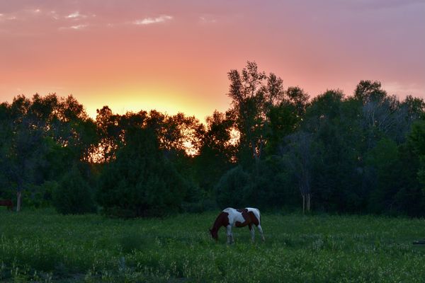 Taos Sunset thumbnail