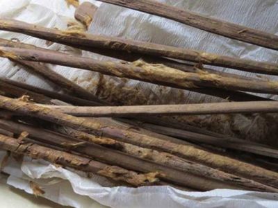 Hygiene sticks excavated at Xuanquanzhi station along the Silk Road