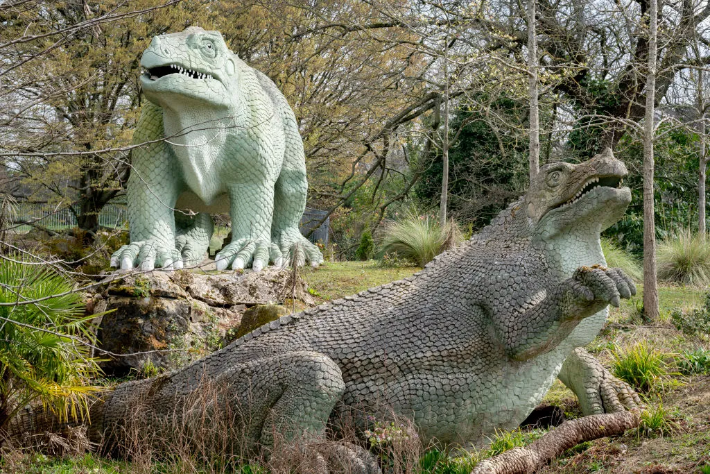 Iguanodons