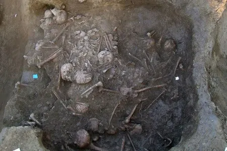 Overhead view of the mass grave, which contains the remains of at least 41 Copper Age people