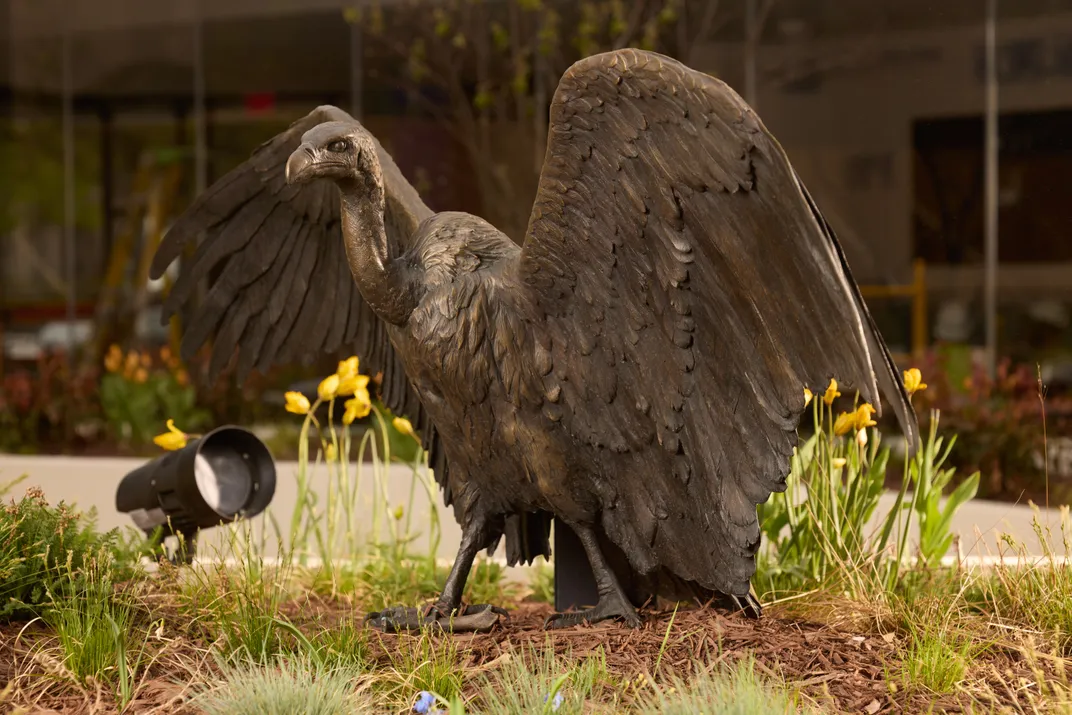 Years in the Making, National Geographic's Museum of Exploration Is Here to Take You on an Adventure