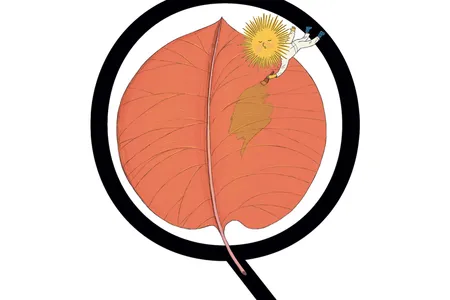 I thought I saw more red foliage this fall. Is that related to climate change?