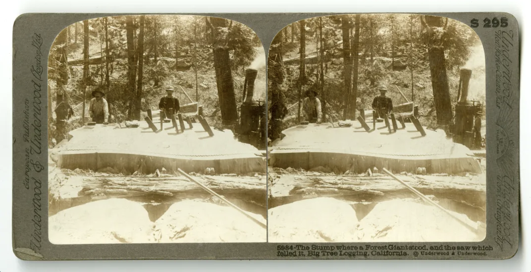 A historical sepia-toned photograph of loggers sitting among their machinery and a variety of timber.