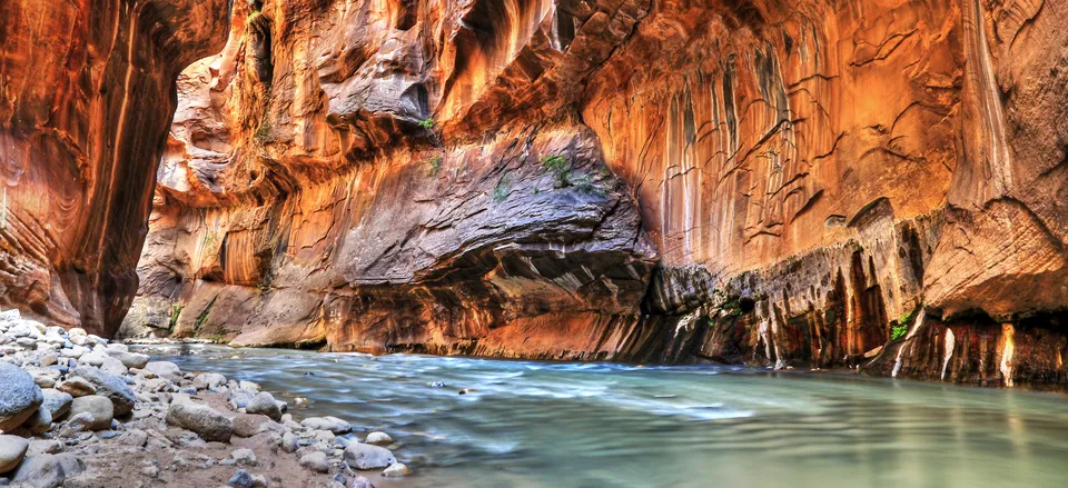  Along the water, Zion National Park 