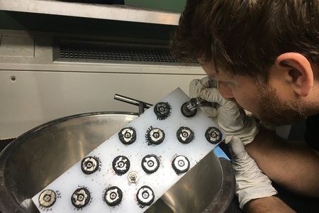 Marc Fries examines a magnetic board looking for iron particles recovered from the sea floor.