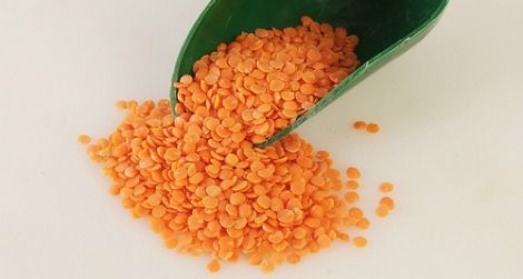 Organic red lentils