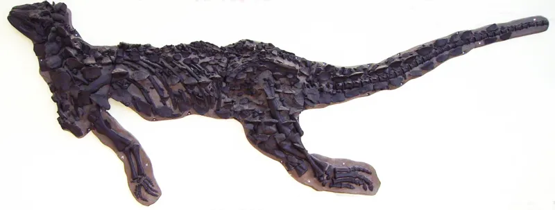 20110520083305Scelidosaurus-skeleton.png