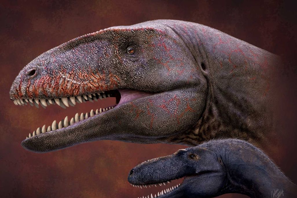 Ulughbegsaurus