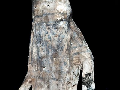 Researchers studied tattoos on this mummified hand.