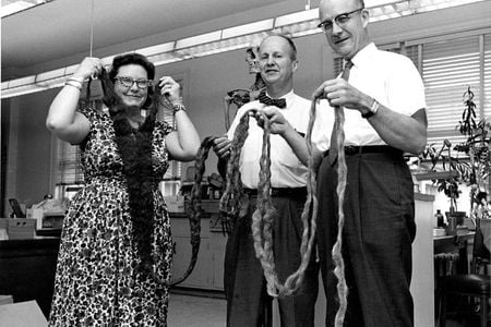 Smithsonian anthropologists hold up the world’s longest beard after it was donated to the National Museum of Natural History in 1967. (Smithsonian)