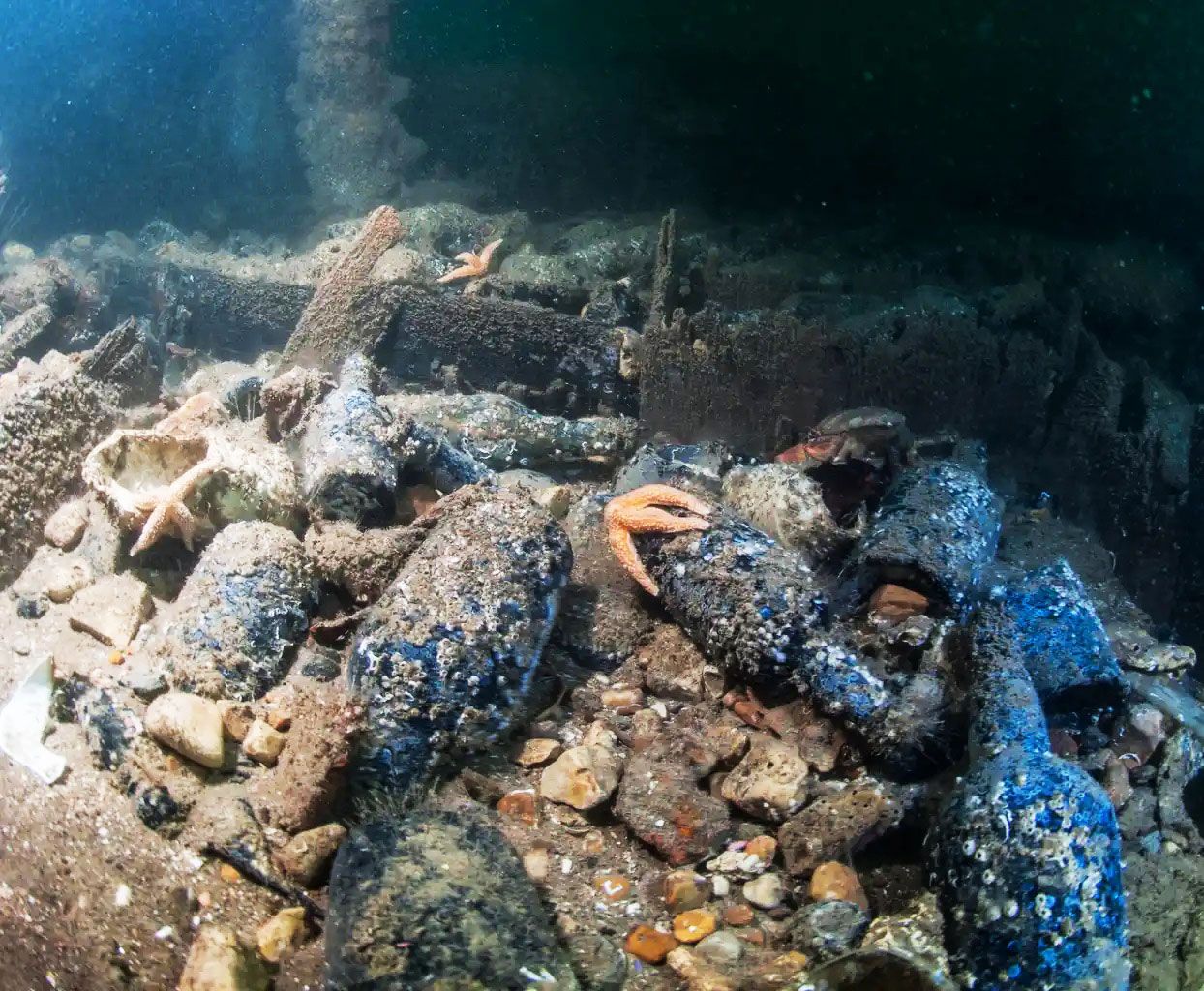 The sealed Guinness bottle was found at the shipwreck of the&amp;nbsp;Mindoro.