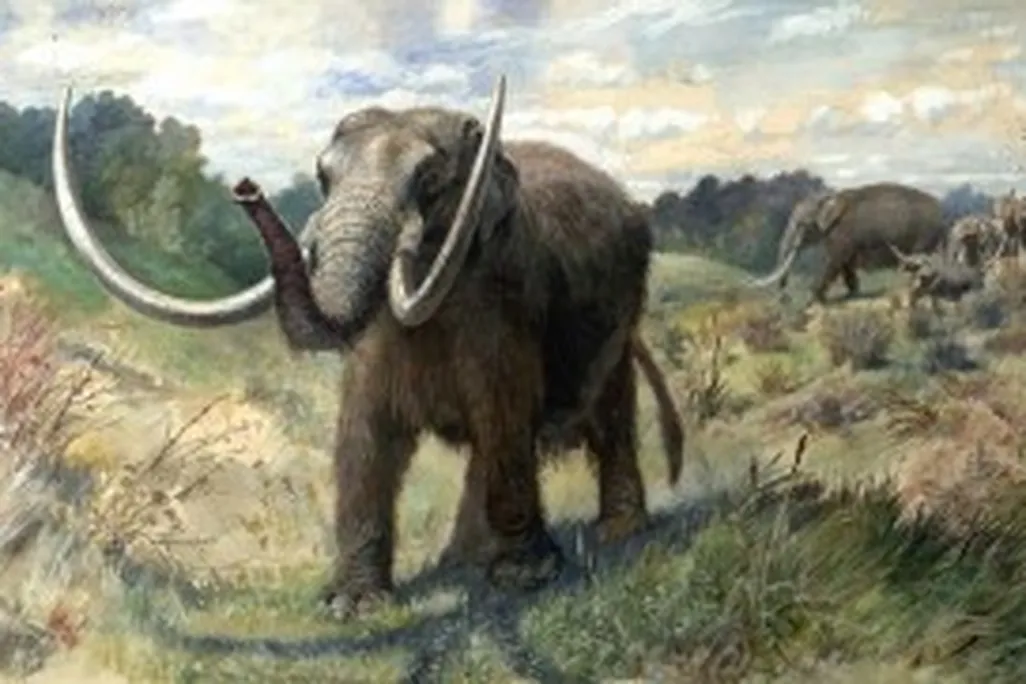 20110520102337Knight_Mastodon-300x181.jpg