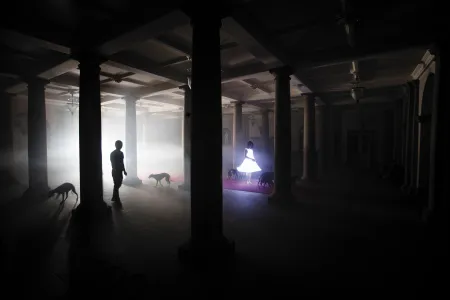 Adrien Broom photographed a luminous dress in Wentworth Woodhouse, the largest private home in Britain. This image is titled The Forest of Columns.