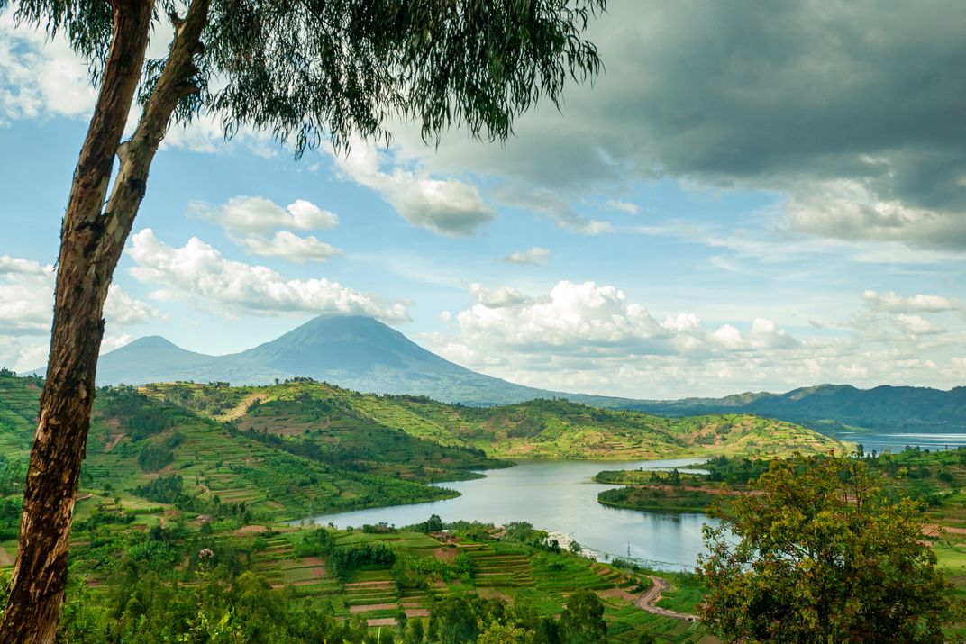 Lush landscape in Rwanda, with the peaks of Volcanoes National Park