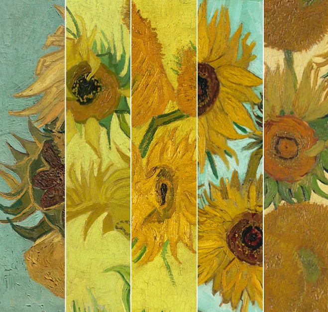 Sunflowers 360